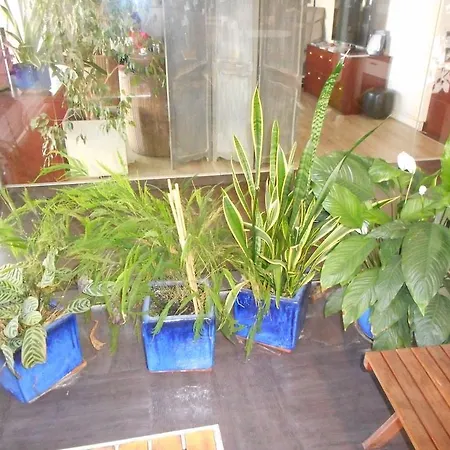 Les Gens De Отель