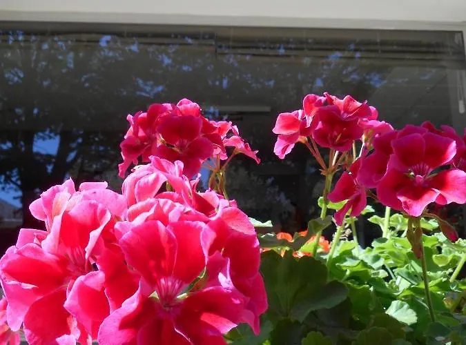 Les Gens De Hotel 2*